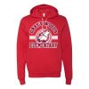 3719 Unisex Sponge Fleece Hoodie Thumbnail